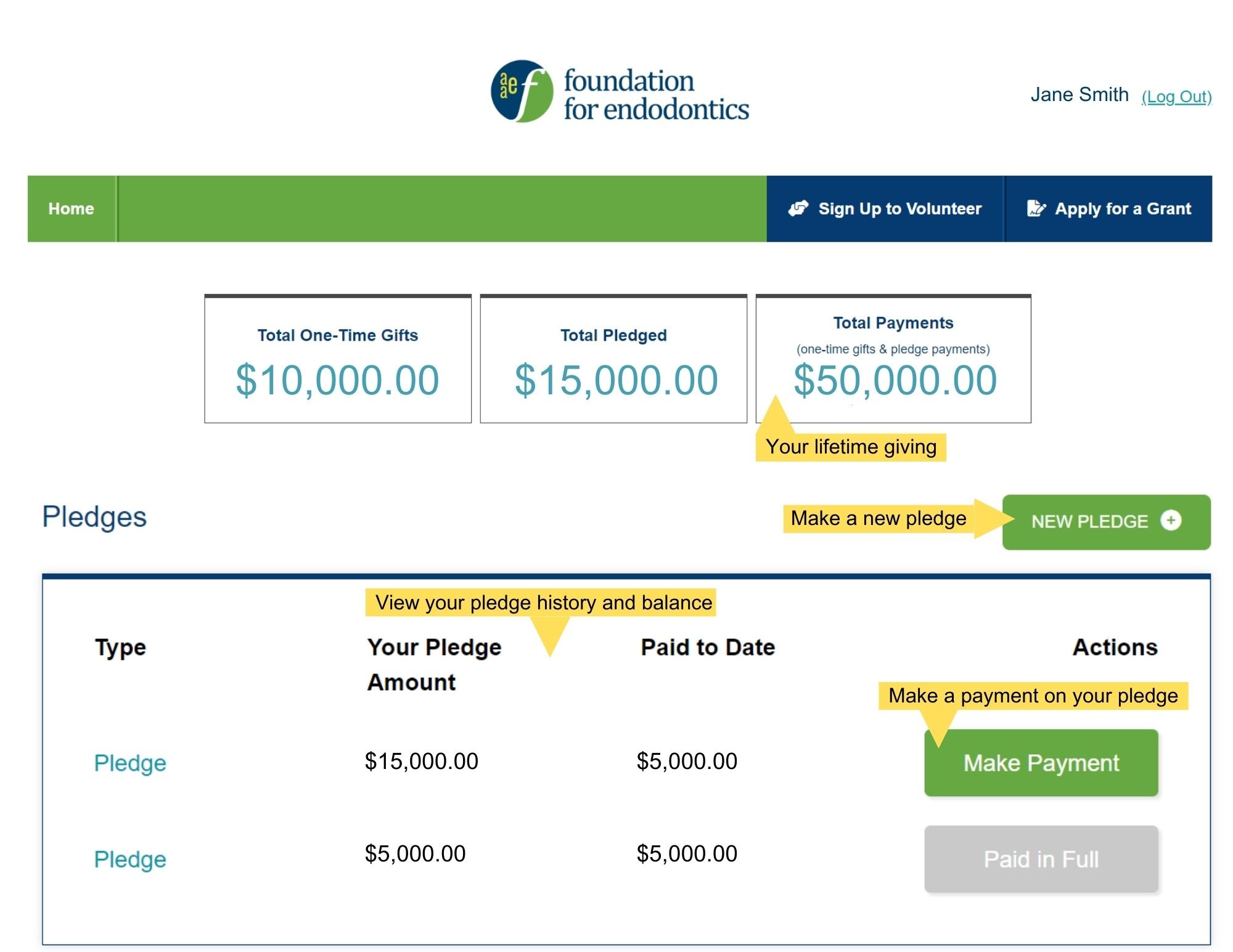 AAE Foundation Donor Portal 1 AAE Foundation Donor Portal 1