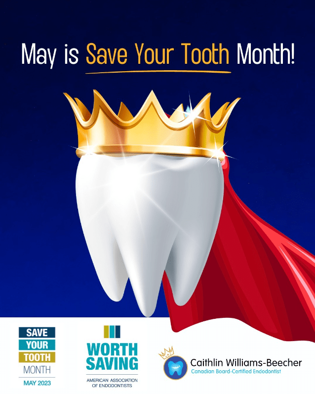 Screenshot 20250228 134304 American Association of Endodontists