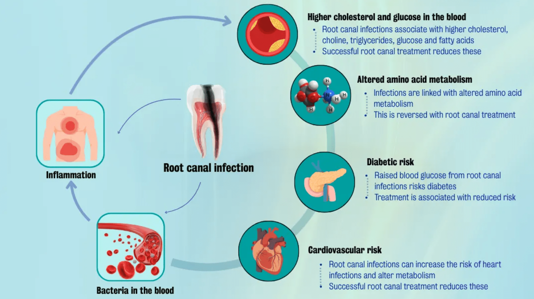Infographic showing links between root canal infection, inflammation, bacteria in the blood, cardiovascular risk, diabetes risk, and metabolic changes.
