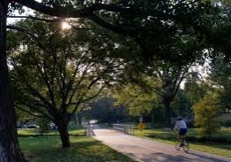 white-rock-lake-park-path-trees