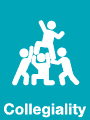 values_sp-collegiality values_sp-collegiality