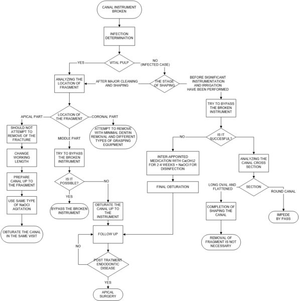 Clinical Decision Making Algorithm Flowcharting of the Proposed Clinical Decision-Making Algorithm of ...