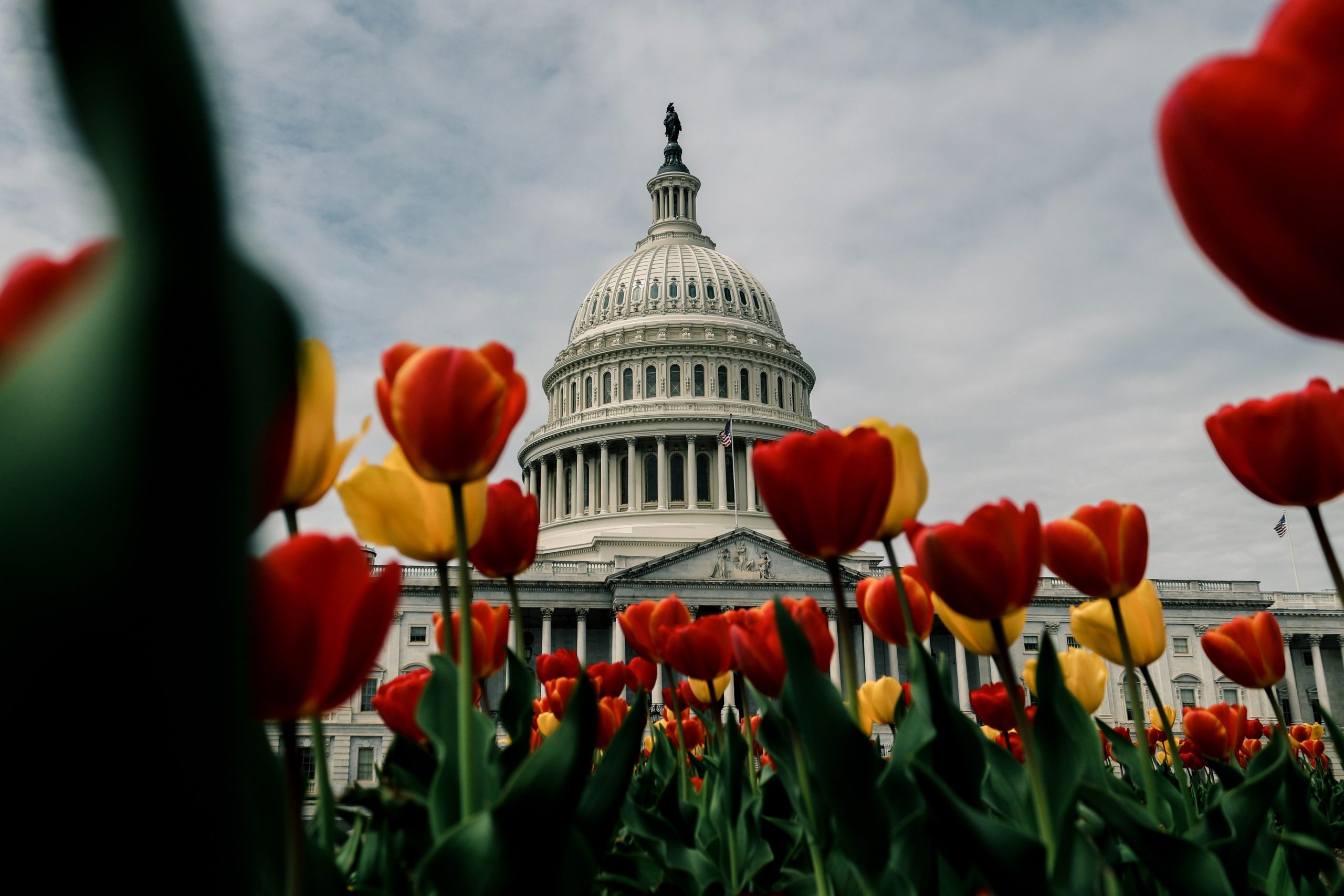 US Capitol Building