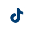 tiktok icon