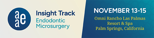 IT2025_DigitalBanner_NoBorder_600x150