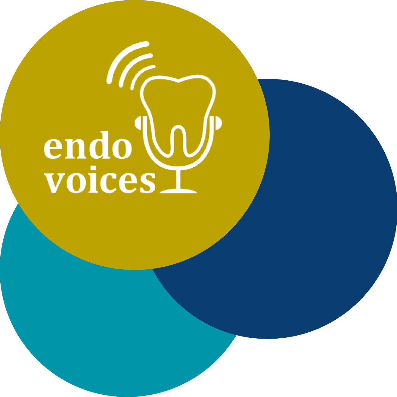 A graphic of three circles with "Endo Voices" in the topmost one