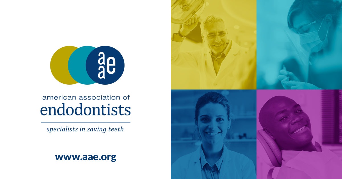 American Association of Endodontists Endodontists the root canal